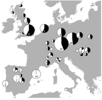 Figure 14: Proportion of steppe-related ancestry in Beaker-complex-associated groups in  Western Europe