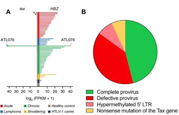 Figure 4 : Profil génétique de l’HTLV-1 et profil d’expressions de Tax et HBZ dans les  cellules primaires d’ATL