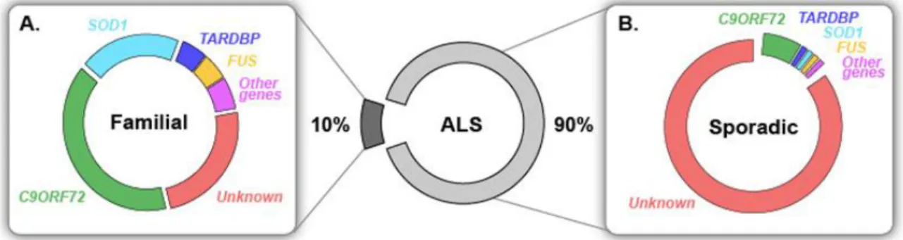 Figure 1 : Schéma représentatif des mutations observées chez les patients SLA (Laferière 2015)