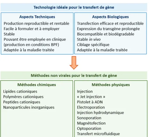 Figure 8: Caractéristiques d’une technologie idéale de transfert de gène et liste des méthodes existantes