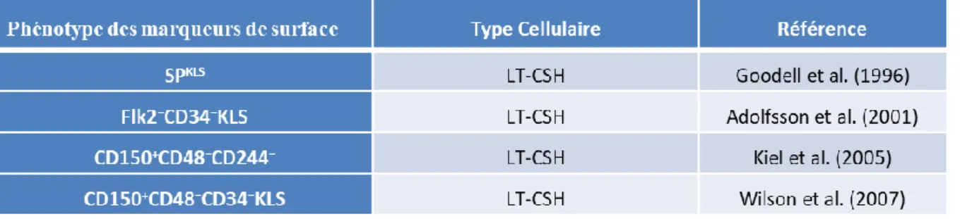 Tableau 1: Différents marqueurs de l’étude de la LT-CSH murine 