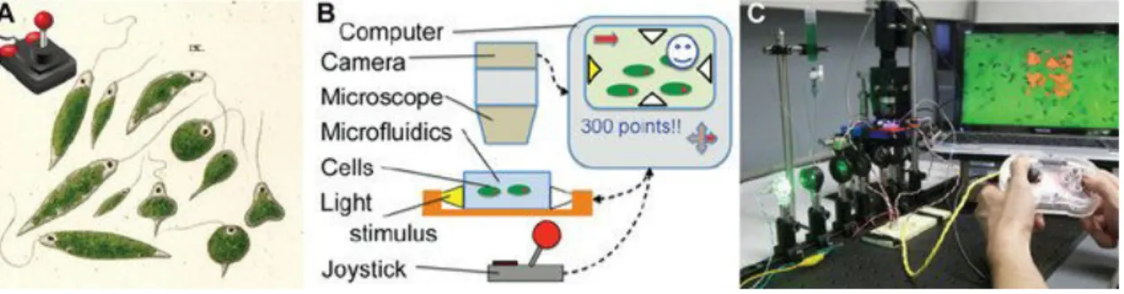 Figure 1.9: A Biotic Game device developed by the Riedel-Kruse lab