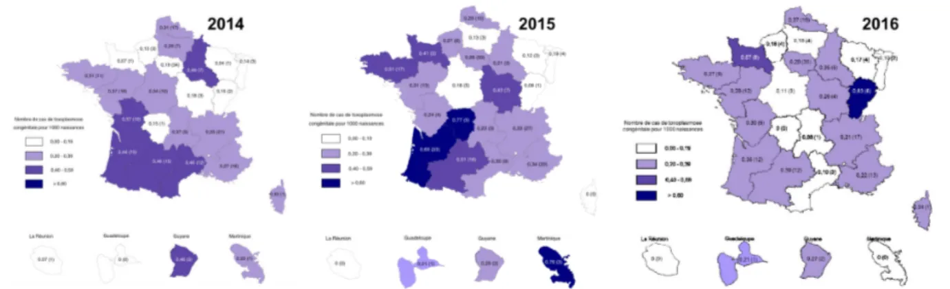 Figure n°8. Nombre de cas de TC diagnostiqués en France pour 1000 naissances.  Sources :  site du CNR Toxoplasmose 