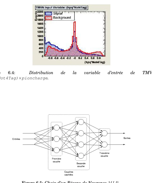 Figure 6.4: Distribution de la variable d’entrée de TMVA abs(Not4Tag)×pioncharge.