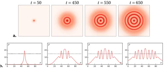 Figure 2.11 – Snapshots of a numerical solution of Eq. ( 2.47 ) starting from a central inoculum