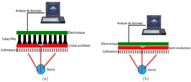Figure 1.6 – Principe de base de détection pour un détecteur basé sur un cristal scintillant associé à des photomultiplicateurs (PM) (a) ; et un détecteur utilisant la technologie des semi-conducteurs (b).