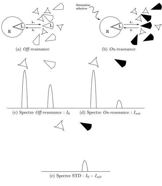 Figure 5.3 – Principe de l’exp´ erience de diff´erence de transfert de satura-