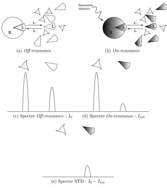 Figure 5.3 – Principe de l’exp´ erience de diff´erence de transfert de satura-