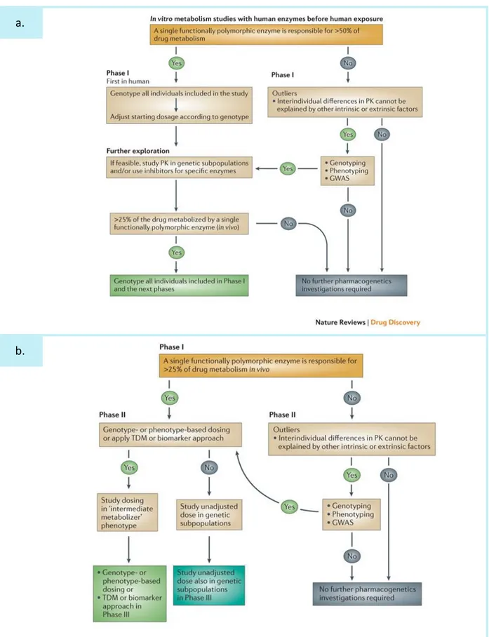 Figure  1.24.  Arbre  de  décisions  recommandé  par  l’EMA  dans  le  cadre  des  analyses 