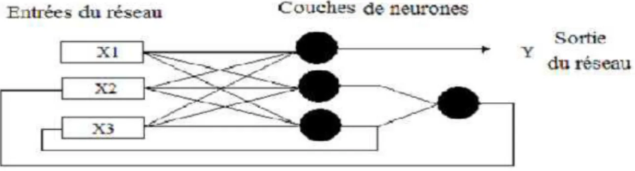 Figure 1.5 : Structure d’un réseau récurrent . 