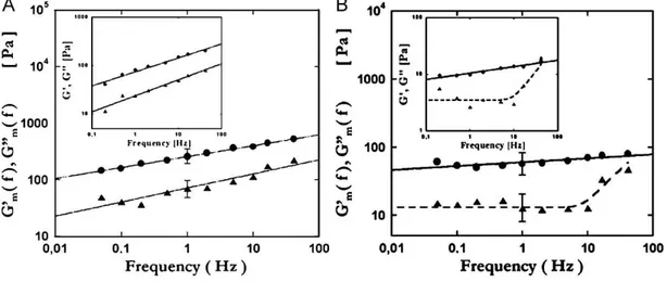 Fig. 1.28 – Modules élastique et de perte en fonction de la fréquence pour des myoblastes de souris de type C2 : (A) dans les conditions contrôle (courbe principale : moyenne sur une vingtaine cellules, insert : mesure sur une seule cellule) ; (B) après addition de blebbistatine (idem) [D’après [8]].