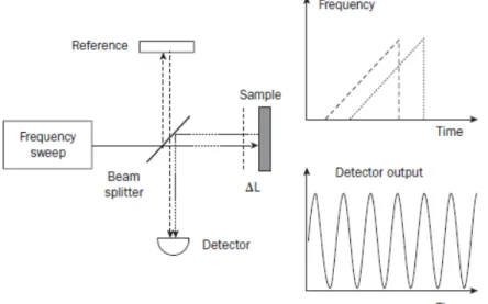 Figure II.3.5. Schematic of SS OCT with interference fringes detected in time, and 