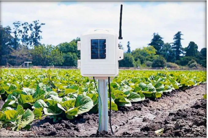 Figure 1.15 : Application  des RCSFs dans l ’Agriculture.   1.5.6.  Contrôle du trafic routier :   