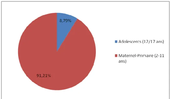 Figure 2  Pourcentage des journées de loisirs par tranche d'âge en Seine St Denis (données CAF 2009)  B