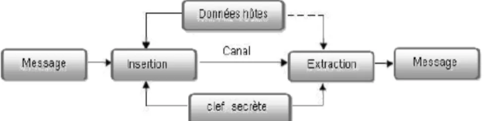 Figure 08 : schéma générique de la stéganographie  [1] .     IV.3.  Techniques  de Stéganographie 