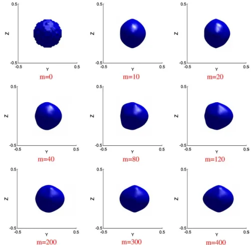Figure 2.4 – Evolution of a solid obstacle immersed in a cubic domain of fluid