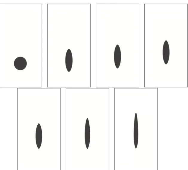 Figure 2.5 – Evolution of a solid obstacle immersed in a rectangular domain of
