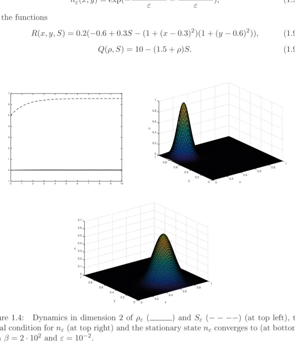 Figure 1.4: Dynami
s in dimension 2 of ρ ε ( ) and S ε ( − − −− ) (at top left), the