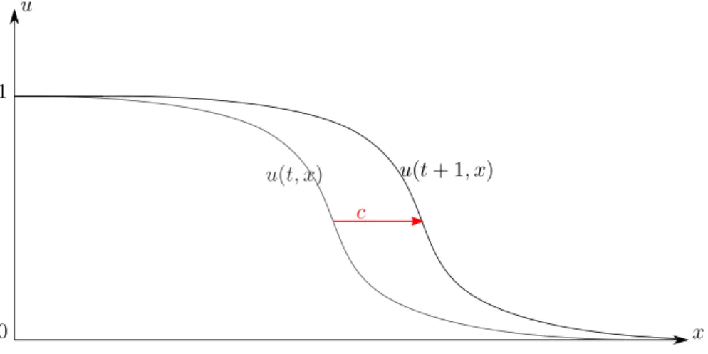 Figure 0.0.2 – A traveling wave for the Fisher–KPP equation In return, it is then possible to prove the following theorem.