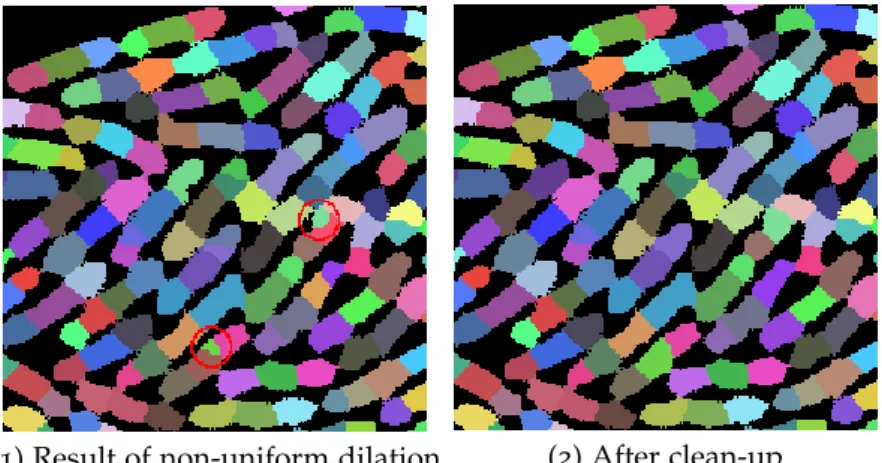 Figure 16: Clean-up of small blobs. (1) Result of the non-uniform dilation, where small blobs have been highlighted in red, and (2) after merging small blobs with their largest neighbor once.