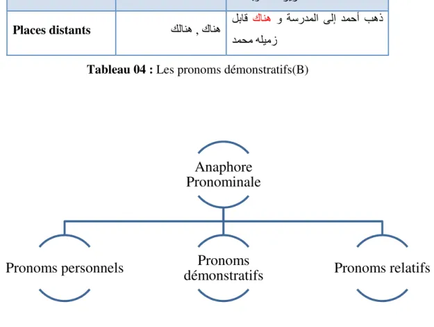 Figure 6 :  Représentation des pronoms concernés par l’anaphore pronominale 