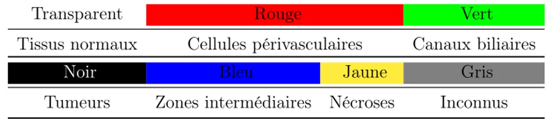 Table 2.3 – Code couleur de la segmentation selon le type de tissu dans les images.