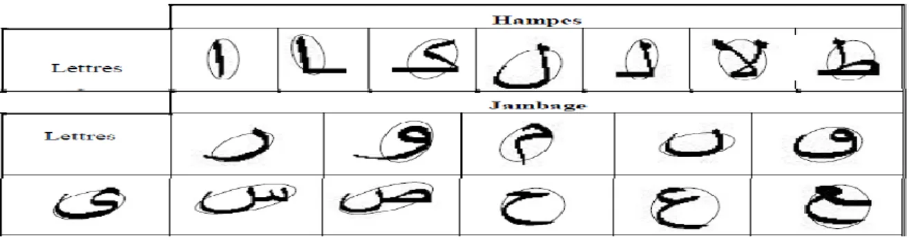 Tableau 1.2. Différents hampes et jambages dans les lettres arabes. 