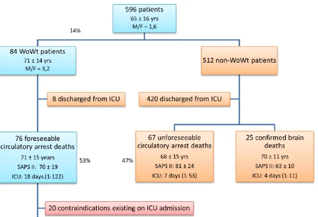 Figure 8 : Flow chart of the 596 patients with regards to the outcome and theoretical 