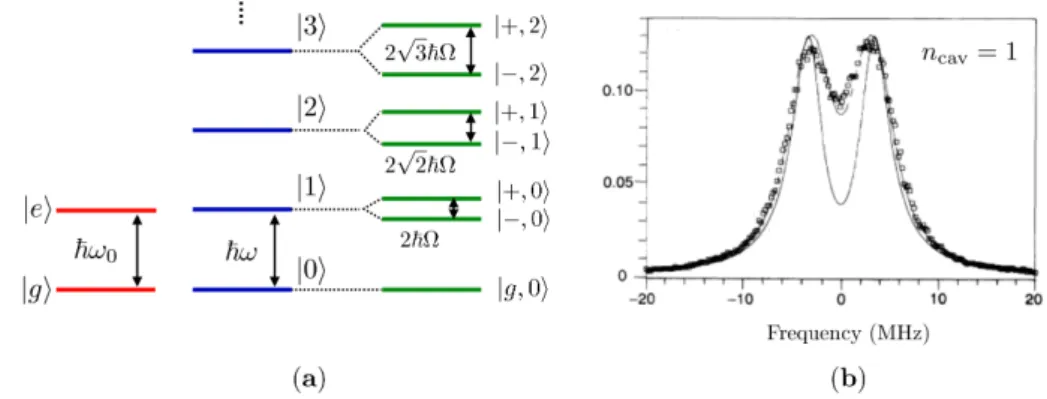 Figure 1.2.3 – (a) Structure des états propres de l’hamiltonien de Jaynes- Jaynes-Cummings à résonance (ω = ω 0 )