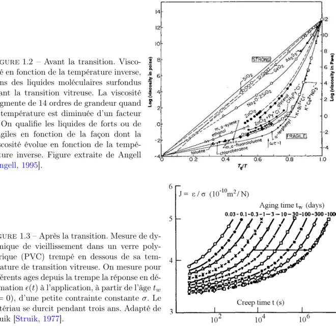 Figure 1.2 – Avant la transition. Visco- Visco-sité en fonction de la température inverse, dans des liquides moléculaires surfondus avant la transition vitreuse