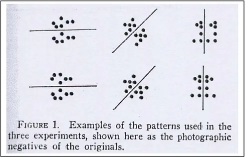 Figure 1.5 : figures projetées lors de l’expérience de Corballis &amp; Roldan (1975, p
