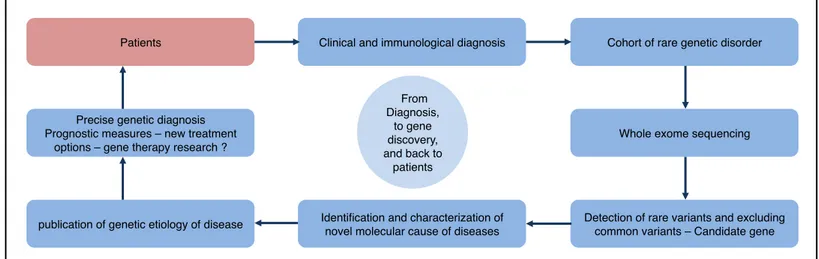 Figure 12. Identifying a molecular cause of a rare genetic disorder. 