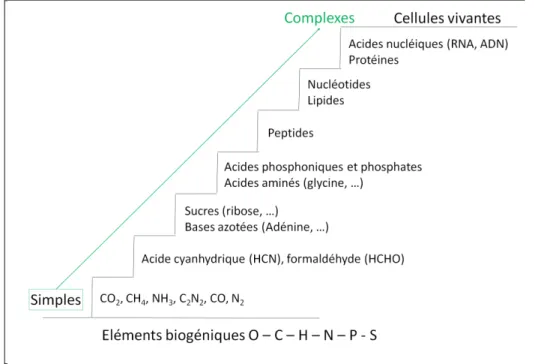 Figure I-4 : Figure représentant l’évolution chimique supposée de molécules simples vers des molécules complexes utilisées 