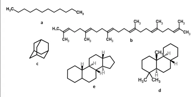Figure  I-12 :  Formule demi développée d’un alcane (le dodécane (C 12 H 26 )) (a), un isoprénoïde acyclique (le squalène 