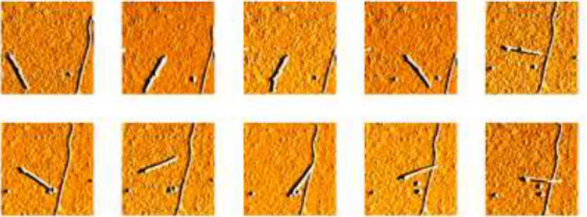 Figure 3.7 – Etapes de d´eplacement d’un MW sur un SW par pointe AFM (les ´etapes se succ`edent de gauche ` a droite et de haut en bas - les images AFM sont d’une taille  ca-ract´eristique de 2µm)