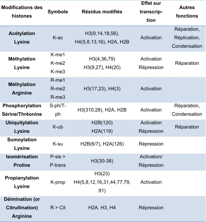 Tableau 1 :  Différentes classes de modifications des histones. La fonction de chaque  modification est indiquée  (Kouzarides, 2007 et Berger, 2007)