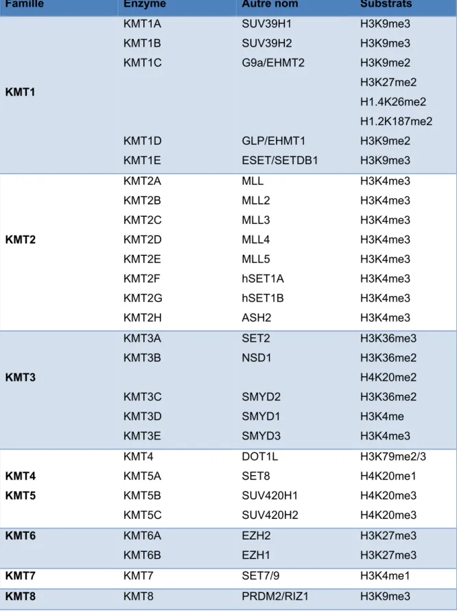 Tableau 2 :  Lysine méthyltransférases (KMT) humaines et leur substrat  (Zhang et al.,  2012)