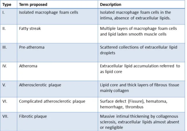 Table 1: Histological classification of the stages of atherosclerosis proposed by the AHA, 
