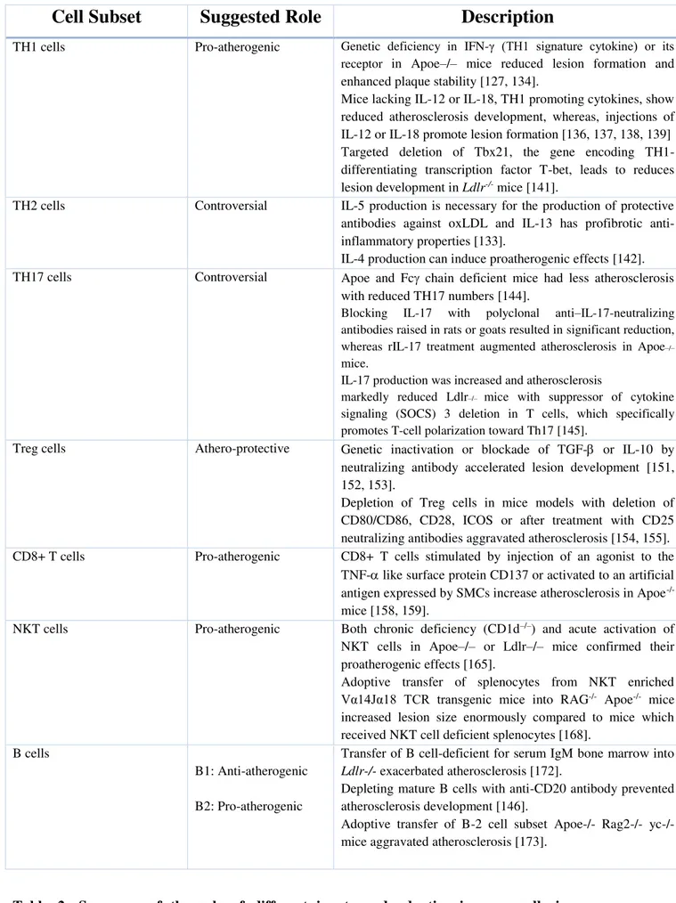 Table  2:  Summary  of  the  role  of  different  innate  and  adaptive  immune  cells  in  atherosclerosis.