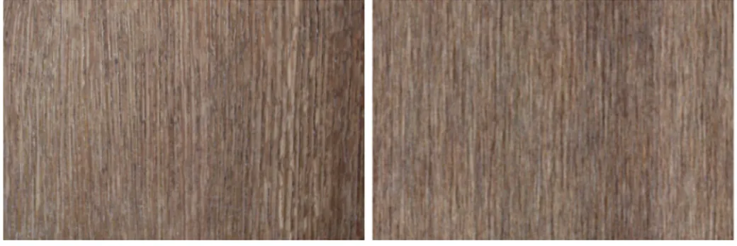 Figure 1.2: Left: input image “wood”. Right: output image obtained with the RPN algorithm [51] (implementation [50]).