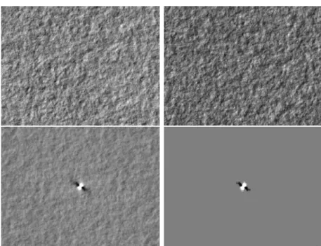 Figure 1.3: Top: the micro-texture samples based on the texton (left) and its sparse approx- approx-imation (right) are indistinguishable up to an affine contrast change