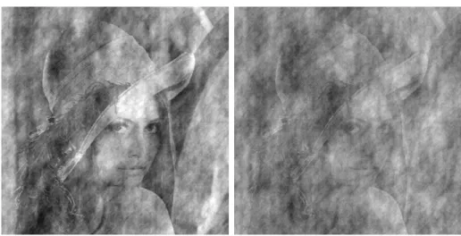 Figure 1.5: Images of the projections of “Lena” (as the target image u) onto two constraint sets defined by “clouds” (as v)