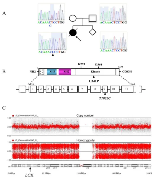 Figure 26. Genetic analysis of the LCK-deficient patient and her family. 