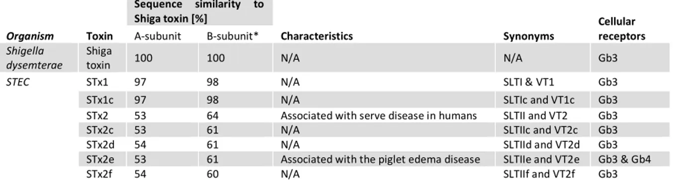 Table 1: Shiga toxin and isoforms (Johannes and Römer, 2010)  Organism  Toxin  Sequence  similarity  to Shiga toxin [%]  Characteristics  Synonyms  Cellular  receptors A-subunit B-subunit*  Shigella  dysemterae  Shiga 