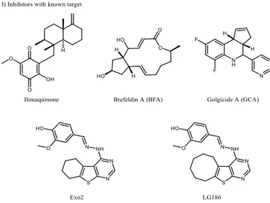 Figure 8: Chemical structures of inhibitors of SLTs for which the cellular target is already known