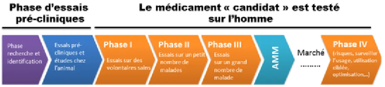 Figure 2.1: Conception d’un médicament Schéma représentant les différentes étapes de la conception des médicaments [15].