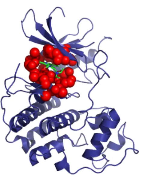 Figure 4.4: Exemple de patch. Est représenté le patch extrait du complexe 3ti1 (en rouge).
