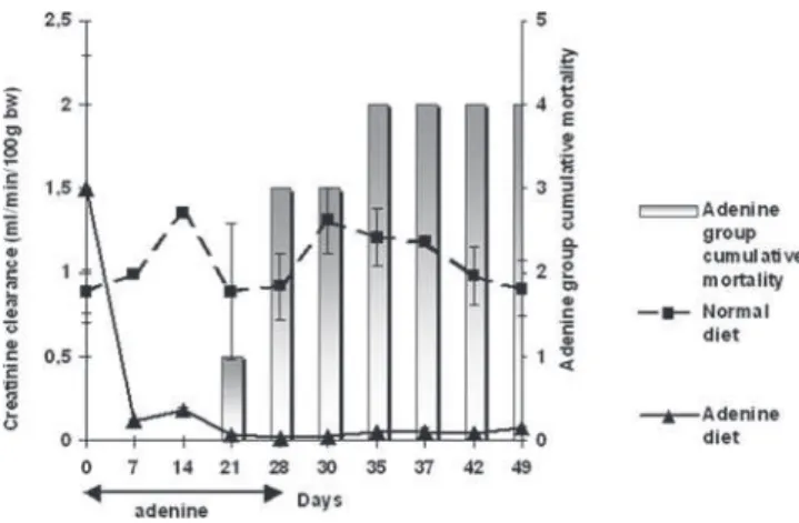 FIG. 2.  Time course of creatinine clearance (ml/min/100 g bw) and mor- mor-tality in renally impaired (fed with adenine-containing diet for 4 weeks) and  control rats