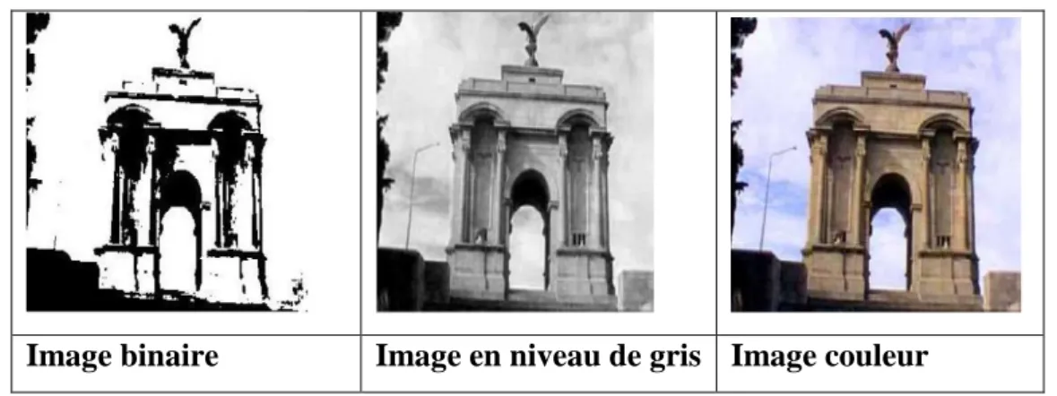 Figure I-2 [ 7 ] : Types d’images 