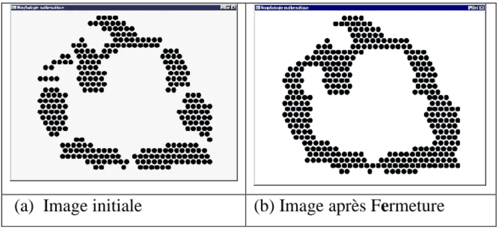 Figure I-9[8]: Exemple d’application de la fermeture, (a) : image binaire, (b) : image fermée